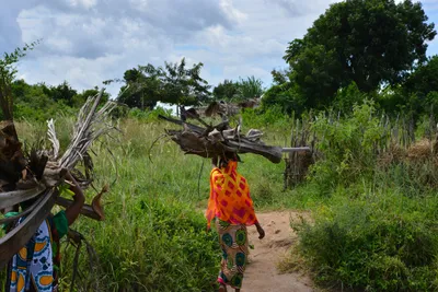 DSC_4790 (Large).JPG